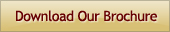 Download a Companion Home Health Brochure